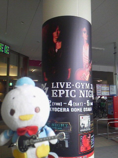 EPIC NIGHT 11